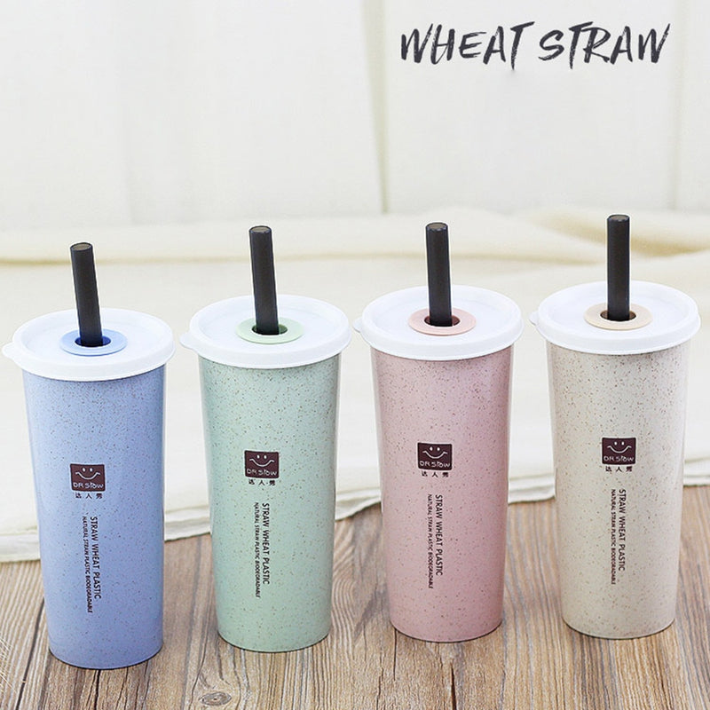 Kitchen Wheat Straw Double Insulated Gift Mug Tumbler With Lid Eco-friendly  Coffee Tea Mug Cups Gifts Travel Mug