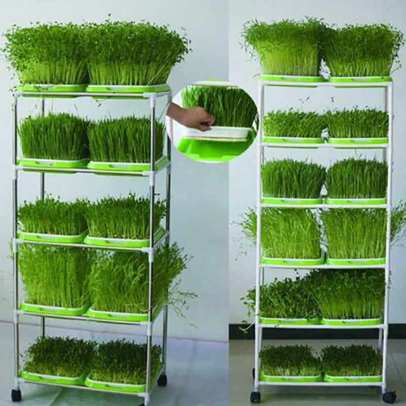 Hydroponic Nursery Tray Garden Supplies