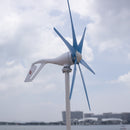 AC 12 V /24 V  Wind Turbine Generator for Home or Boat use with Free 600 W Wind Controller