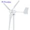 800W 12v Wind Turbines Generator+ Wind Controller 12V 24V 48V 3 Blades Horizontal Axis Permanent Magnet Generator for Home Stree