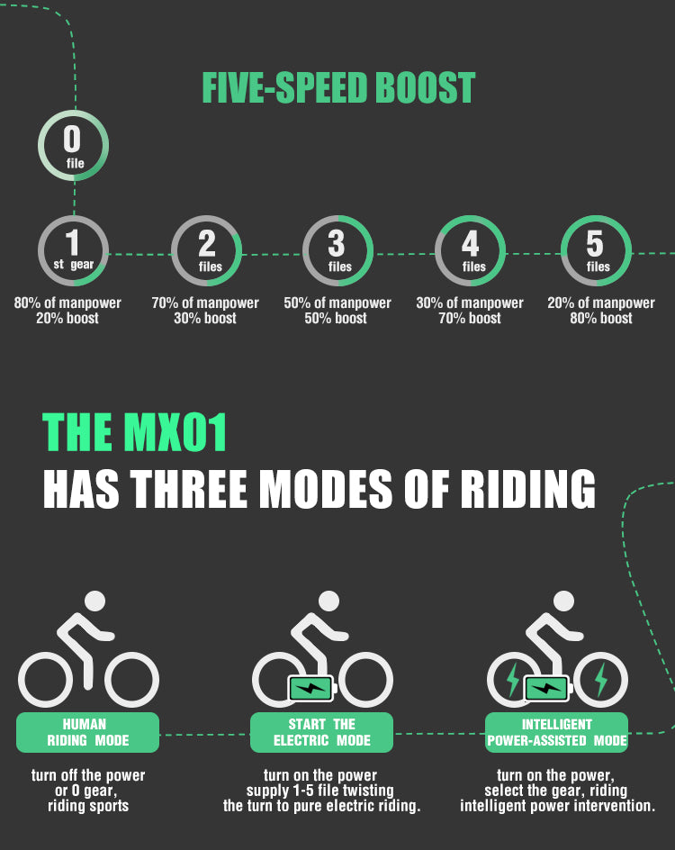 Electric bicycle 1000 W Electric Beach Bike 4.0 Fat Tire Electric Bike  48 V men  e-bike 26 inch Bicycle