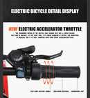 Electric bicycle 1000 W Electric Beach Bike 4.0 Fat Tire Electric Bike  48 V men  e-bike 26 inch Bicycle