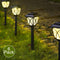 6 Pc /lot Solar Powered  Lamp Easy Install Durable Yard Decoration Waterproof Outdoor LED Bulb