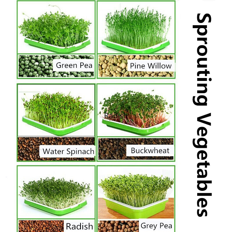 Hydroponic Nursery Tray Garden Supplies