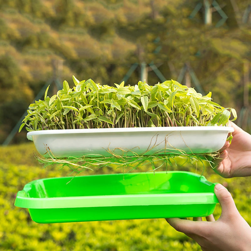 Hydroponic Nursery Tray Garden Supplies