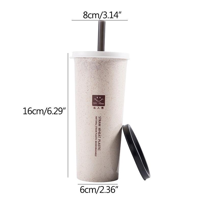 Eco friendly wheat straw Water Cup Portable with double lid