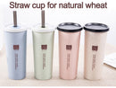 Eco friendly wheat straw Water Cup Portable with double lid