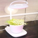 NEW USB led grow light full spectrum plant lamp for indoor flower seedling Hydroponics