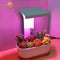 Indoor USB LED Grow Light Timer Full Spectrum Lights For Flowers Cactus IR