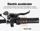 Electric bike 48 V 1000 W electric mountain bike 4.0 fat tire Electric Bicycle beach E-bike electric