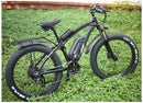 Electric bike 48 V 1000 W electric mountain bike 4.0 fat tire Electric Bicycle beach E-bike electric