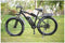 Electric bike 48 V 1000 W electric mountain bike 4.0 fat tire Electric Bicycle beach E-bike electric