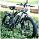 Electric bike 48 V 1000 W electric mountain bike 4.0 fat tire Electric Bicycle beach E-bike electric