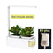 Smart Flowerpot Gardening Self-watering Pots Indoor Planter Plant Nursery Pot Hydroponic Growing System With LED Grow Light