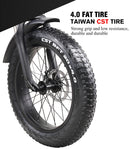 E bike Electric bicycle 500 W  48 v 12.8 ah lithium battery  electric mountain bike