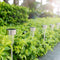 Outdoor LED Solar Powered Lamp Lanterns Waterproof  For Pathway Patio Yard Lawn Decorations