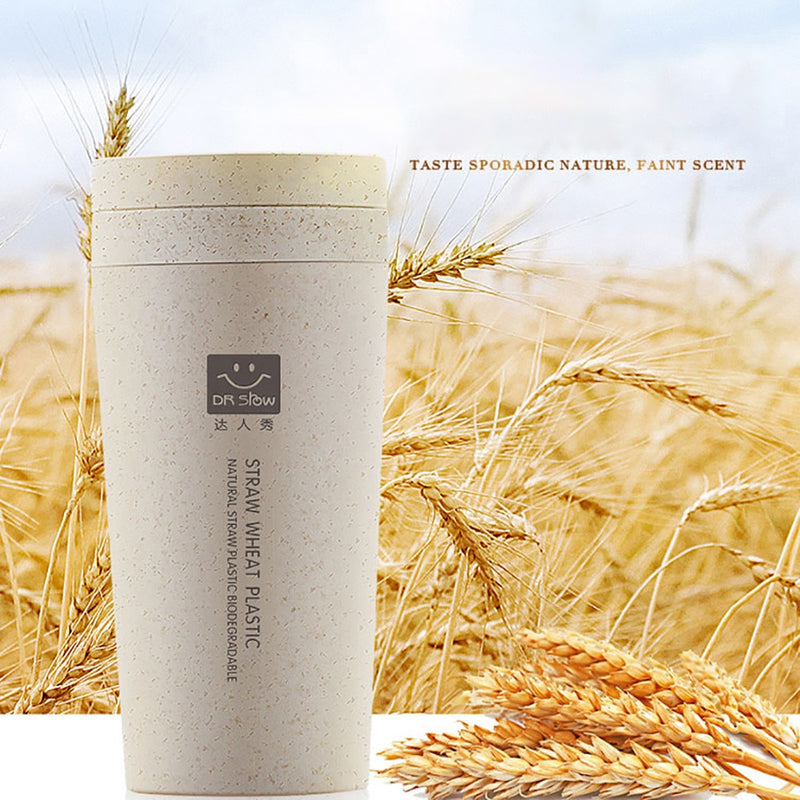 Kitchen Wheat Straw Double Insulated Gift Mug Tumbler With Lid Eco-friendly  Coffee Tea Mug Cups Gifts Travel Mug