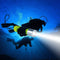 New Mini Waterproof Diver Flashlight LED Diving Flashlight