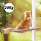 Cute Pet Hanging Beds Bearing 20kg Cat Sunny Window Seat