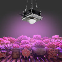 Indoor USB LED Grow Light Timer Full Spectrum Lights For Flowers Cactus IR