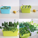 1 sets 220V/110V Plant Site Hydroponic Systems 6 Holes nursery pots Soilless cultivation plant seedling Grow Kit