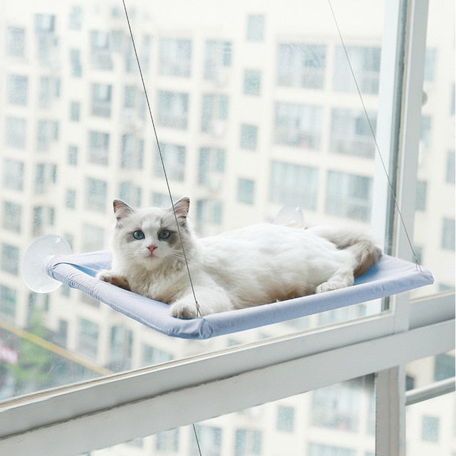 Cute Pet Hanging Beds Bearing 20kg Cat Sunny Window Seat