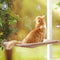 Cute Pet Hanging Beds Bearing 20kg Cat Sunny Window Seat