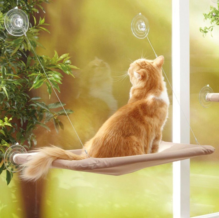 Cute Pet Hanging Beds Bearing 20kg Cat Sunny Window Seat