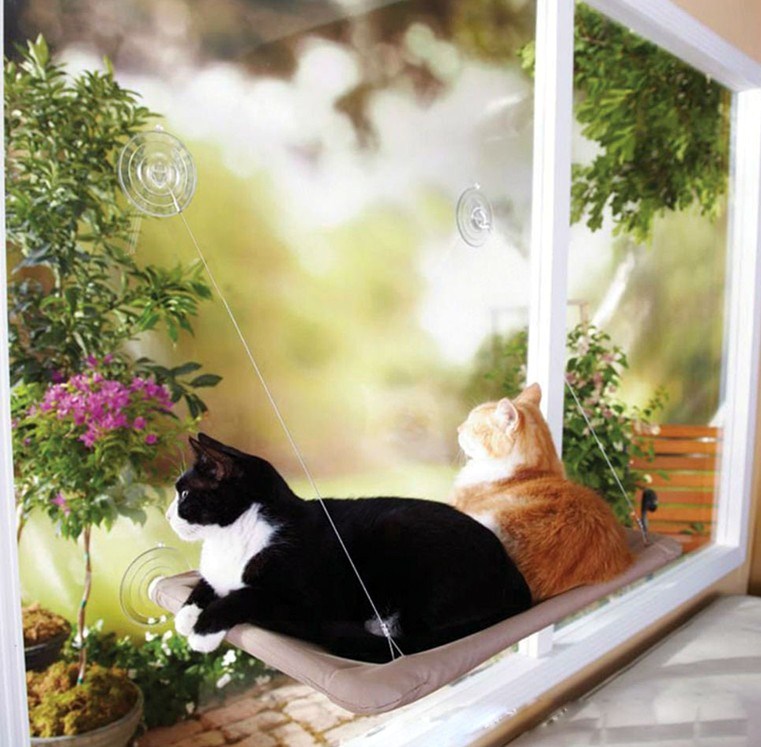 Cute Pet Hanging Beds Bearing 20kg Cat Sunny Window Seat