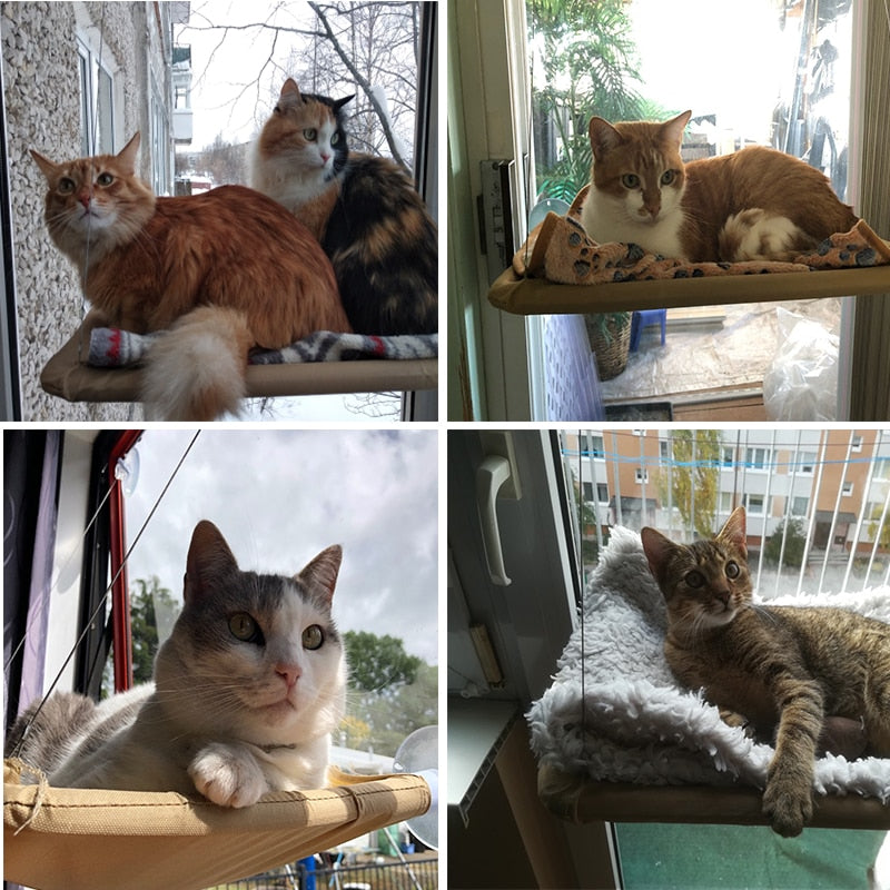 Cute Pet Hanging Beds Bearing 20kg Cat Sunny Window Seat