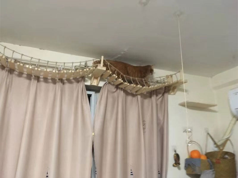 Cat Bridge Climbing Frame Jumping Bridge Pet Furniture