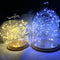 LED String 3*AA Battery Powered Decorative Silver String Christmas Lights 2M/5M/10 Warm White White for Christmas Wedding Party