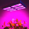 3000W 2000W 1000W LED Grow Light Full Spectrum 410-730nm For Indoor Plants and Flower Greenhouse Tent Hydroponics System