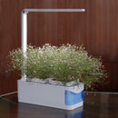 Multifunctional Smart Indoor Herb Gardening Planter Kit Herb Hydroponic Growing System LED AC 100-240V